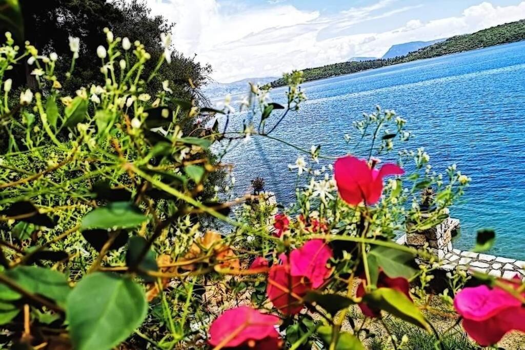 Villa Violeta Lefkada Nydri  Esterno foto