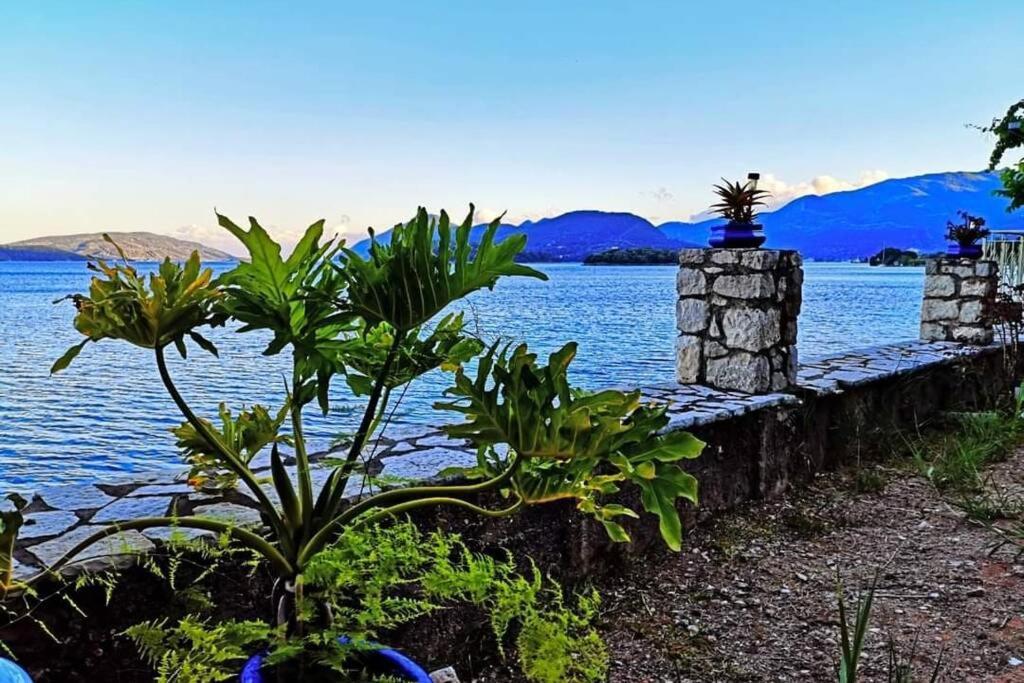 Villa Violeta Lefkada Nydri  Esterno foto